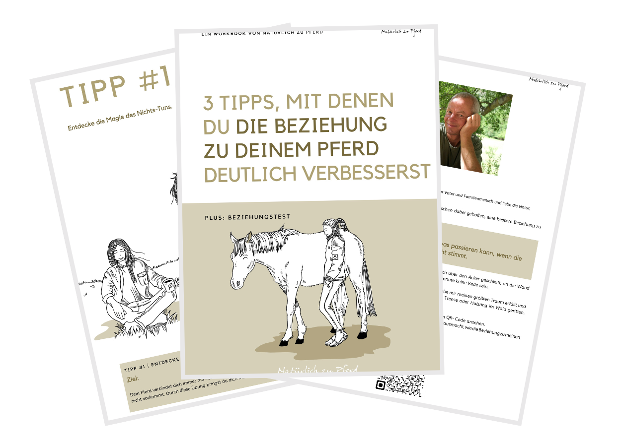 Workbook Beziehung